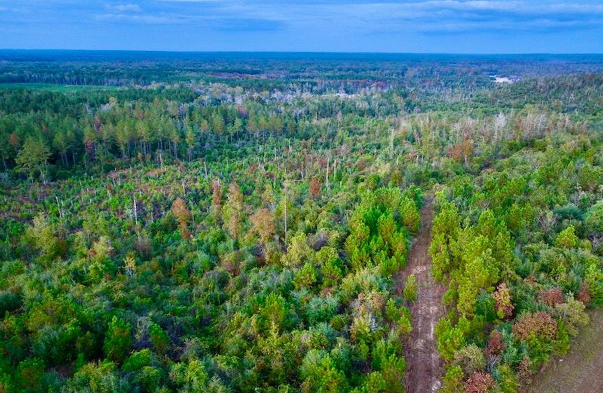 2E8BBF4F-DE59-47DA-9BC3-94FC1D7522E4_1_105_c