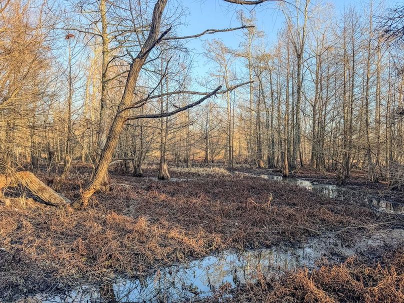 St. Francis 138.5 Calvin Parker Farms Profile -20