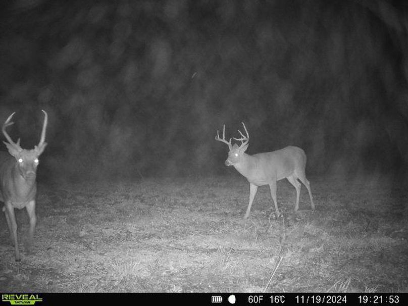 Clay 17 Snyder-51