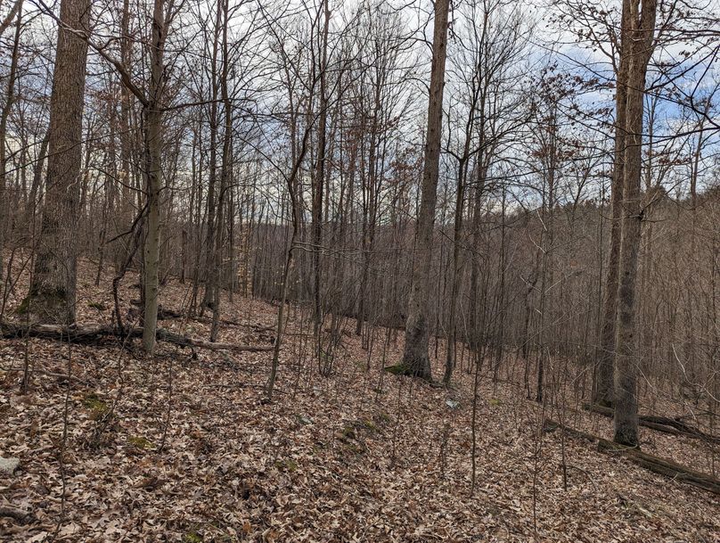 PXL_20230213_162307755