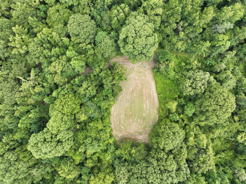 dji_fly_20230727_170312_396_1690507704027_photo 3