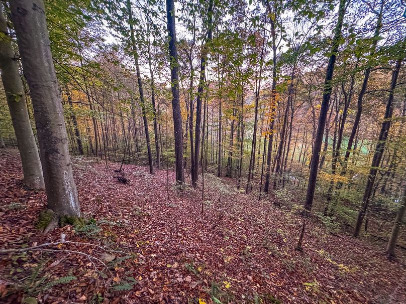 Wirt, WV 43 AC Berry-23