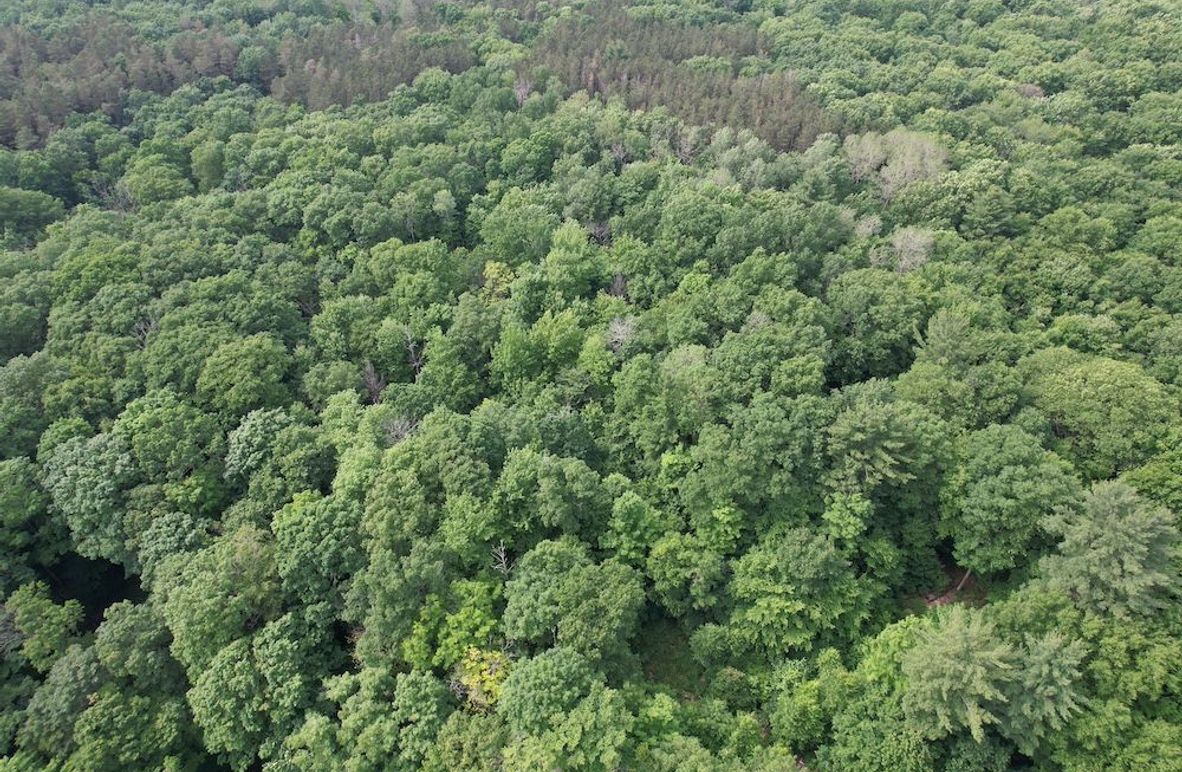 Oswego_22.46-Ross-French_Photos_4