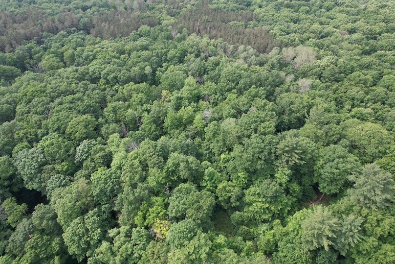 Oswego_22.46-Ross-French_Photos_4