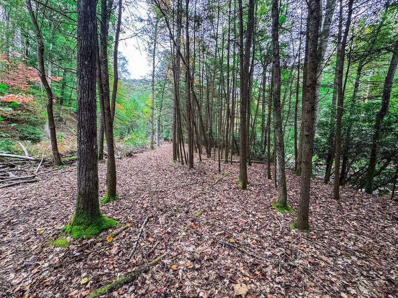 Webster, WV 13.8 AC Heldreth-18