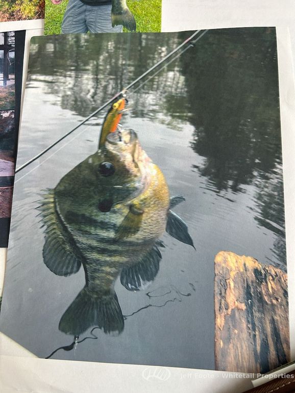 Hinds Co - 51 - Hughes-98