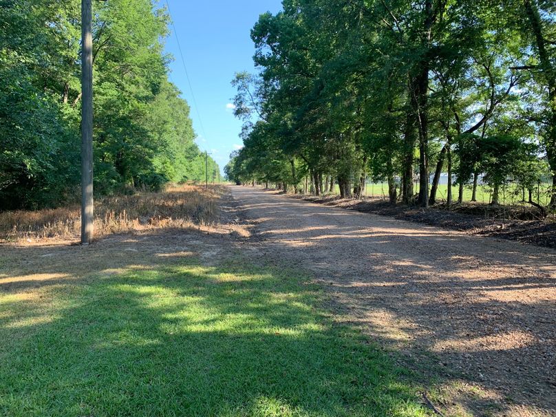 F3DBC88A-C5E4-4F08-91DC-A972B8121B2C_1_102_o