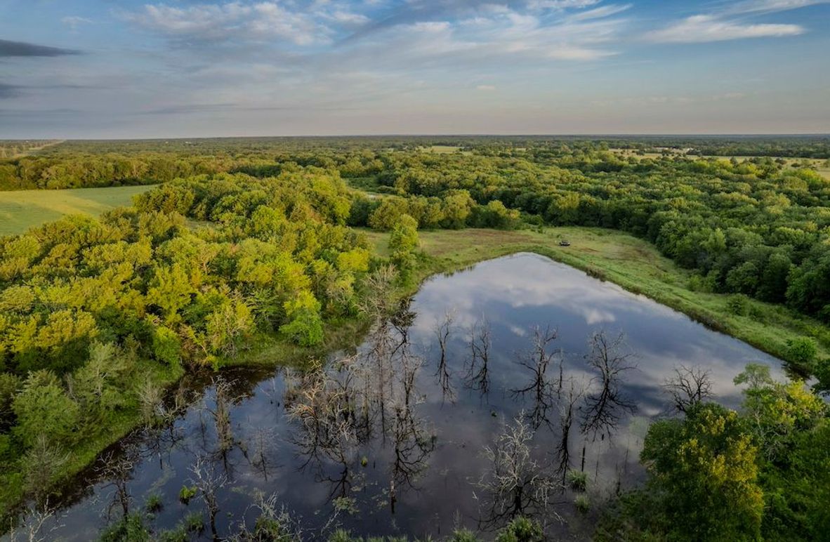 Fannin County- Pecan Ridge (5 of 53)