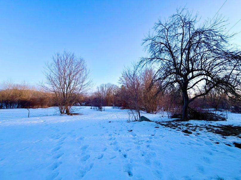 12 1st field 2nd field apple tree