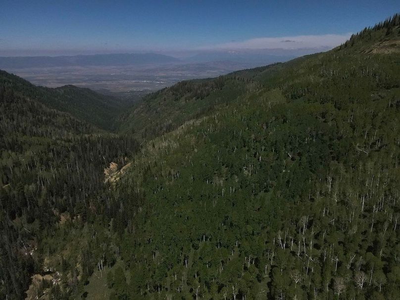 Copy of Photo_1080295618_DJI_194_jpg_4763856_0_202261412538_photo_original.jpg