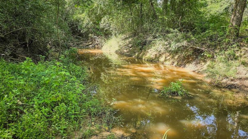 Copy of 21-20250710_103359