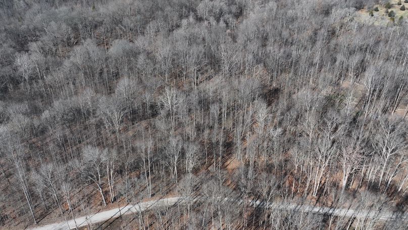 dji_fly_20231130_113742_0120_1701362512685_photo