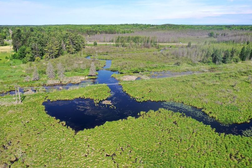 org_f69547d91aaf4278_1717337142000