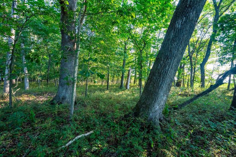 Copy of DSC06185 Large