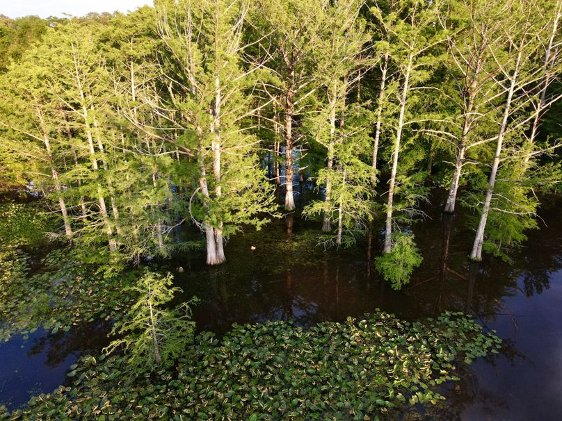 DJI_0072