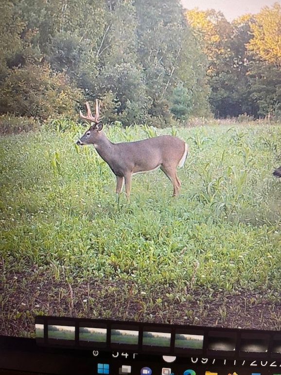 68472245076__66ADAAC9-A8A1-478F-A4DA-51D099B93FFF