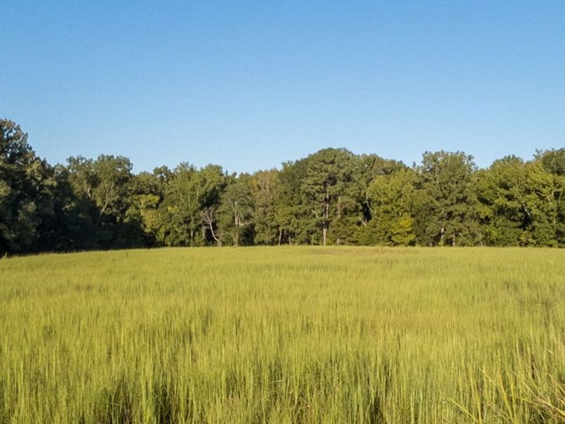 Hinds Co - 78 - Newman-32