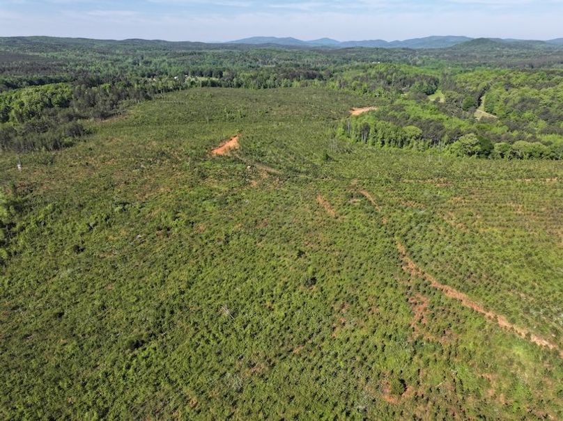DJI_20260421100523_0647_D