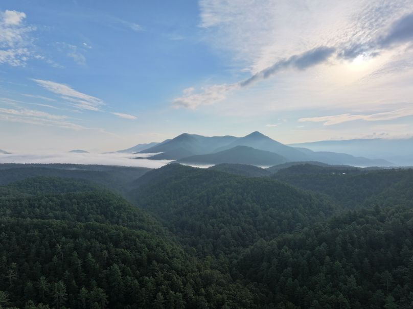 01_30.75_Alleghany_VA_Thompson