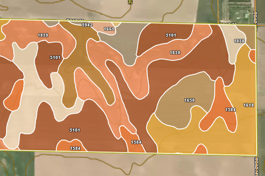 SOILS - LINDBERG TRACT 1 - YELLOW