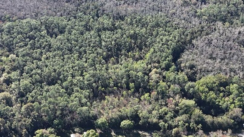 DJI_20260108103415_0127_D