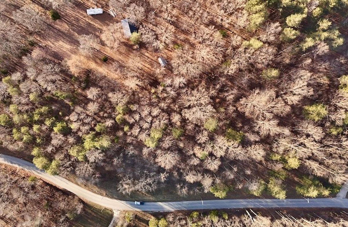 dji_fly_20251209_155124_0875_1765313810151_photo