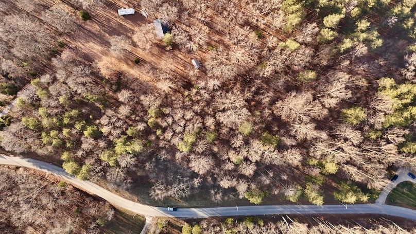 dji_fly_20251209_155124_0875_1765313810151_photo