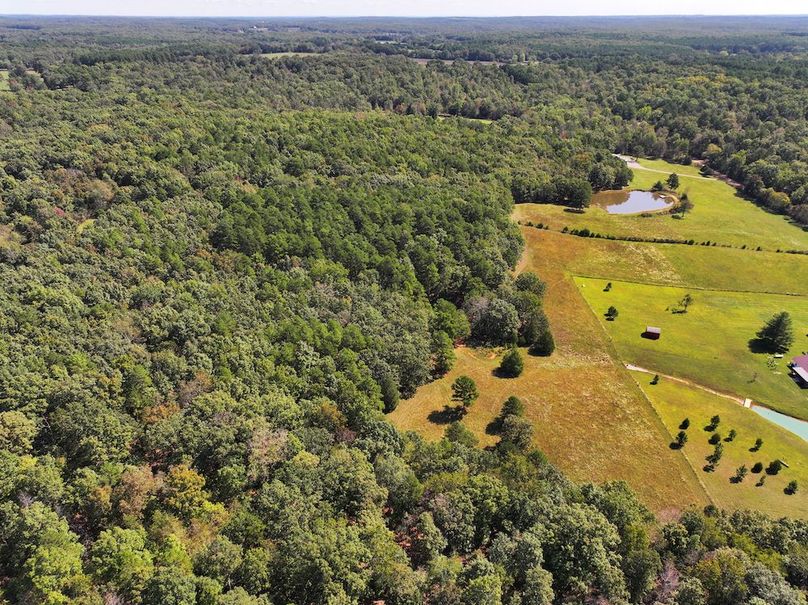 DJI_20240925113213_0226_D