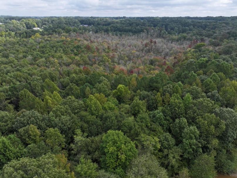 DJI_20240926120802_0009_D