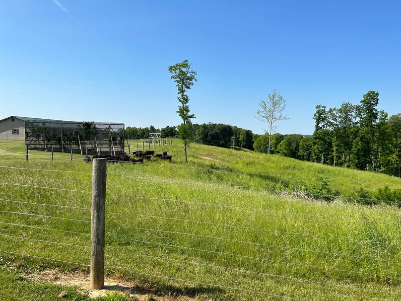 Pics please work_Page_48