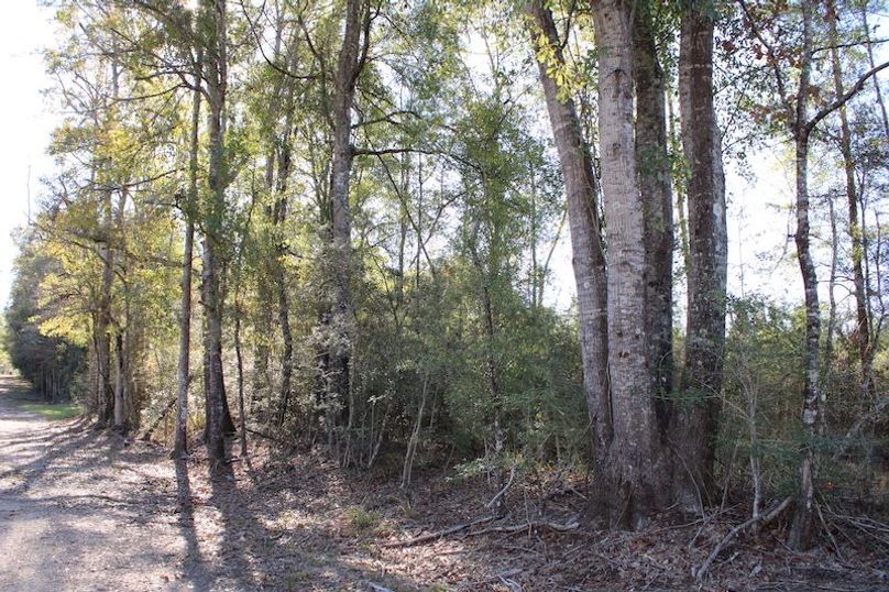 B24E3055-AAA4-4600-8AC4-DBC16951B065