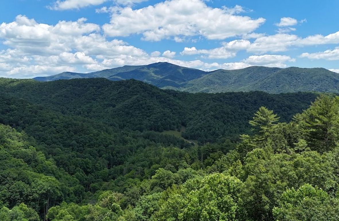 dji_fly_20240624_140412_0008_1719260734621_photo