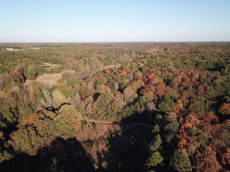 DJI_0066