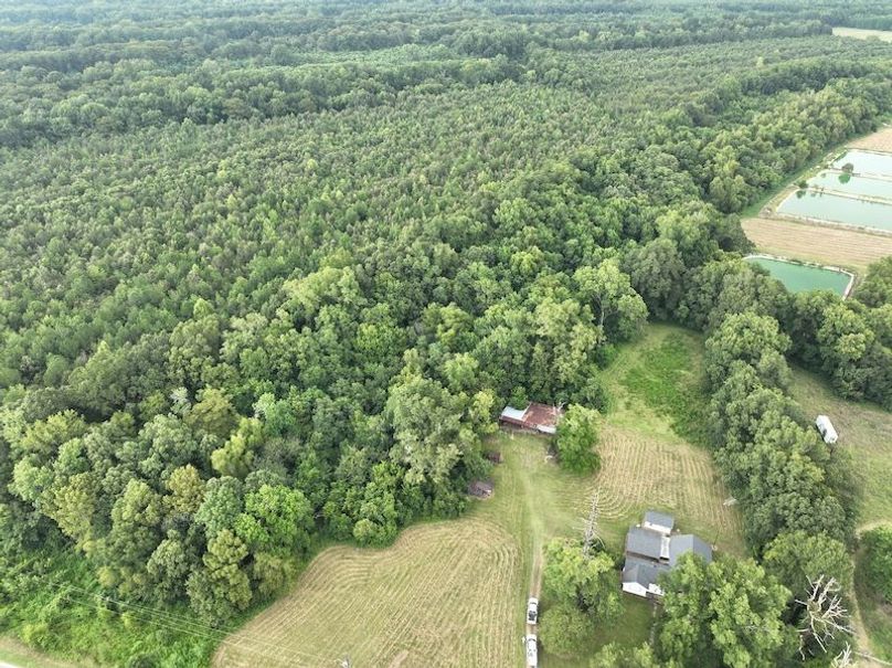 dji_fly_20250828_164218_149_1756499614509_photo