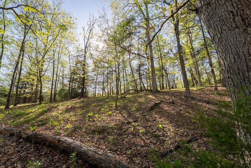 Hampshire WV 106 Featured_Pro Photo-32