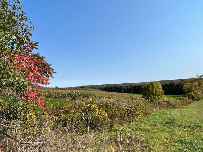 Yates_29_Stape Photo 18