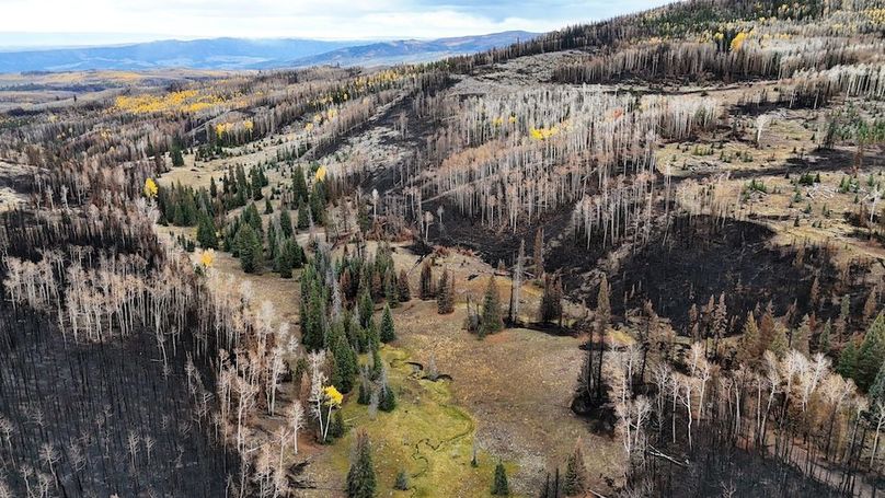 DJI_20250927084646_0086_D