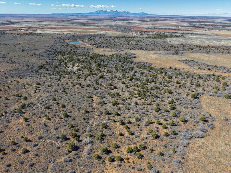 DJI_20260303122351_0057_D