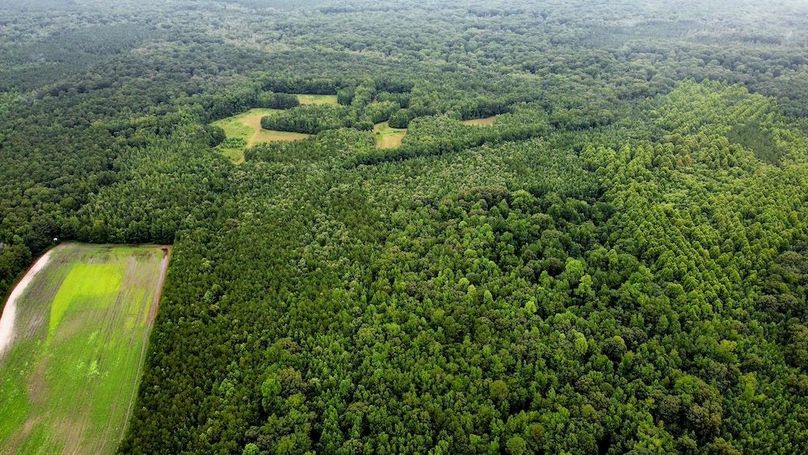 dji_fly_20250802_100950_565_1754143831941_photo_optimized