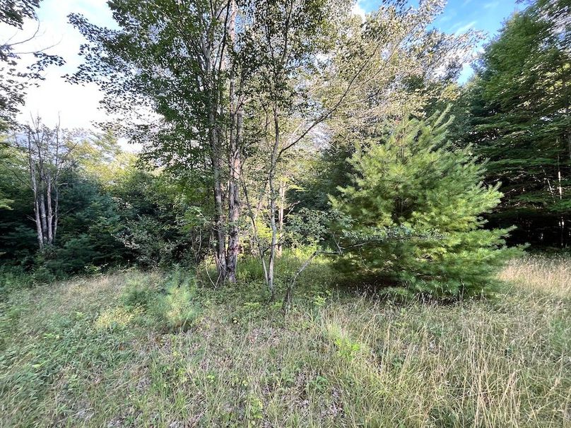 Chemung_78.26+Gutchess_Lumber_Photos_22