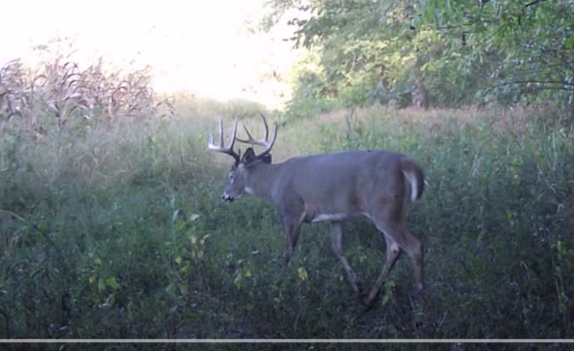 Screen Shot 2024-01-22 at 6.12.27 AM