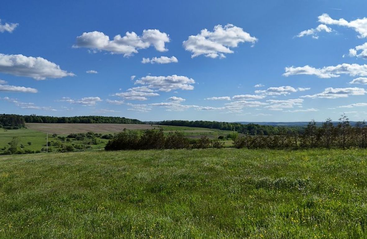 DJI_20260531054401_0066_D