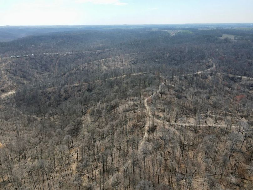 dji_fly_20240329_125328_562_1711731226876_photo