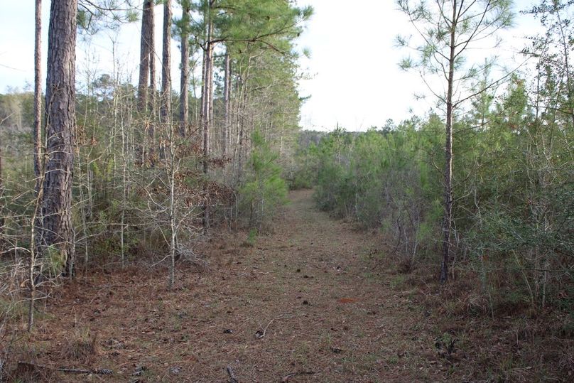 681C9351-EF2F-4825-8389-9C2BBAF0728A_1_105_c