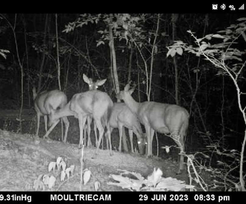 Screenshot_20230630_103104