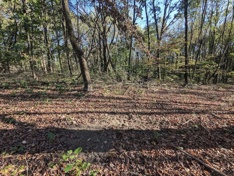 PXL_20251001_210219174