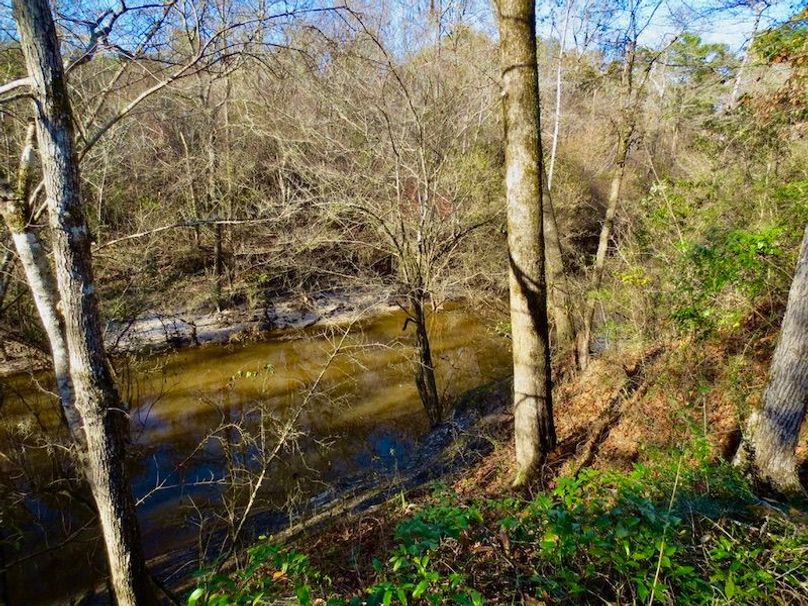 A9F42295-3019-4685-89DA-142BE1E369AB_1_105_c