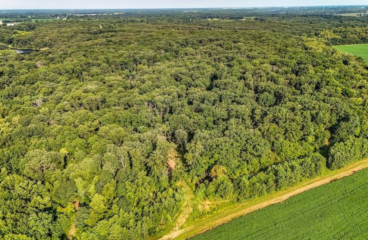 DJI_20250729075634_0087_D