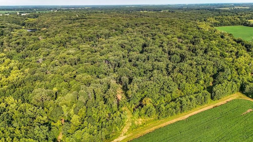 DJI_20250729075634_0087_D