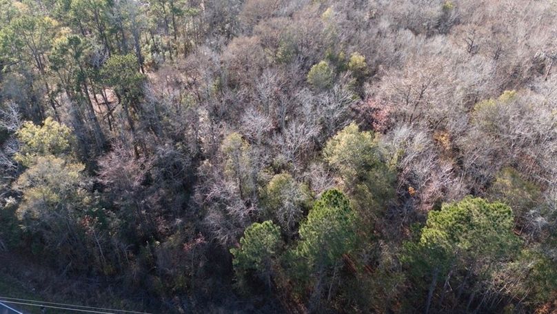 DJI_20251209145937_0025_D